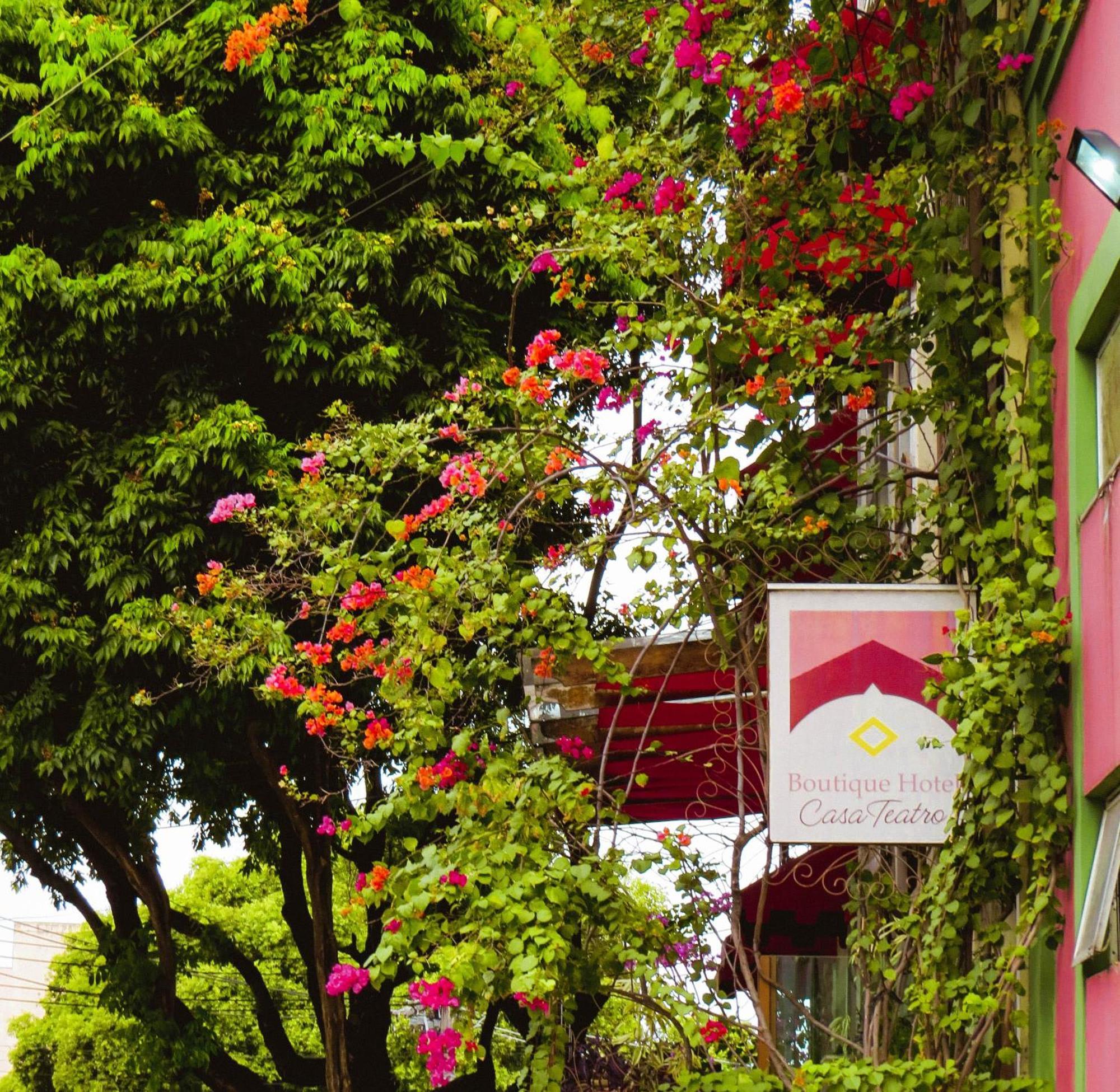 Boutique Hotel Casa Teatro Manaus Exteriér fotografie